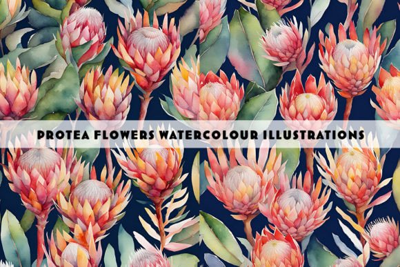 Protea Flowers Watercolour Duo: Nature-Inspired Design Assets