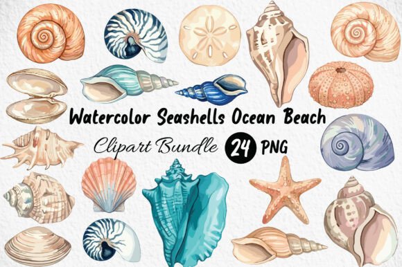 Watercolor Seashells Ocean Beach Clipart for Coastal Designs